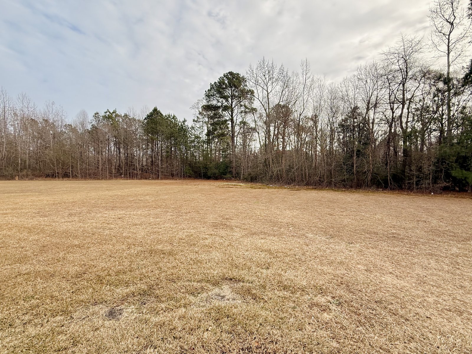 The Home You’ve Been Searching For! property image