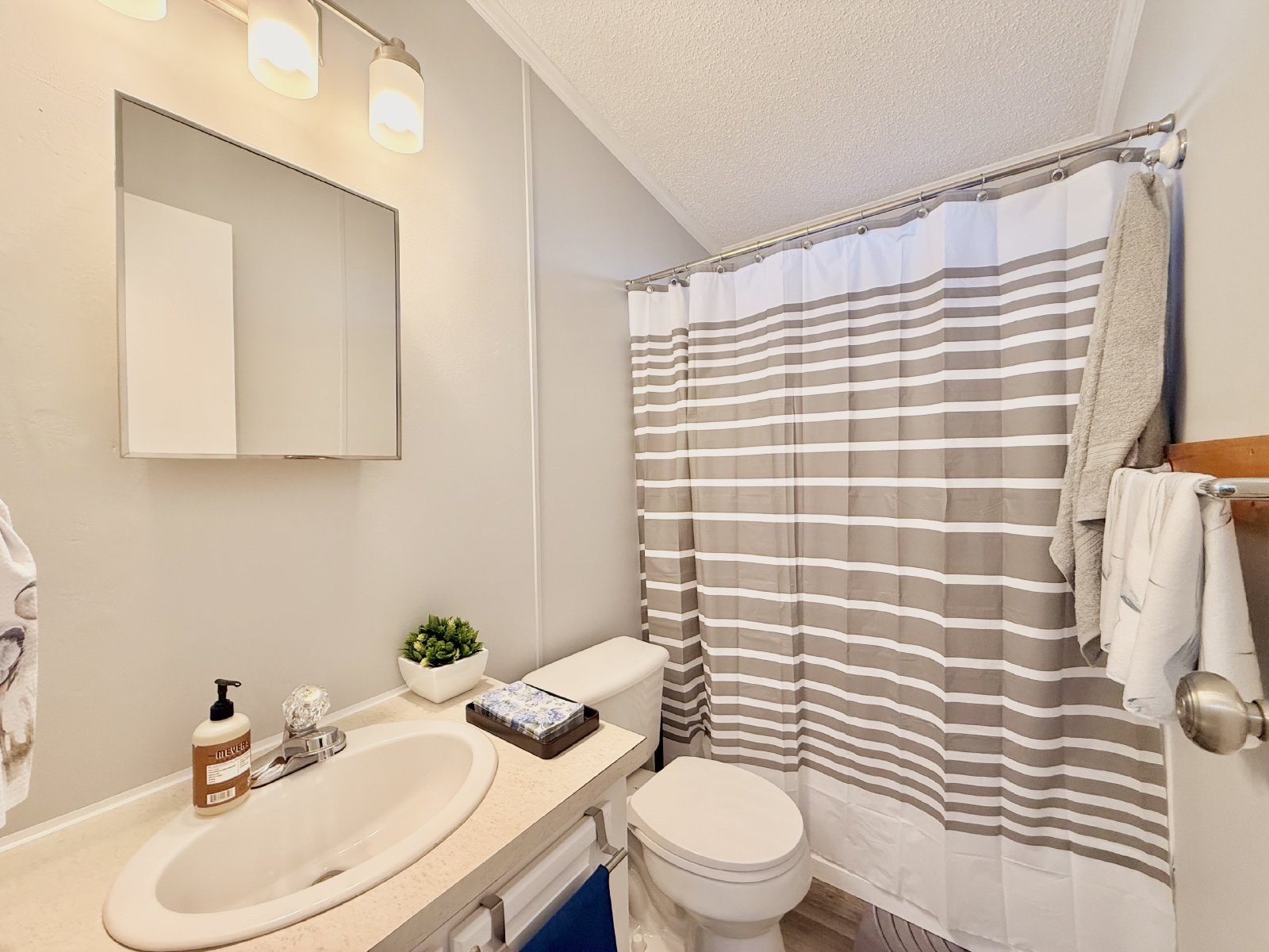 Fantastic Furnished Rental Near Lake Gaston property image