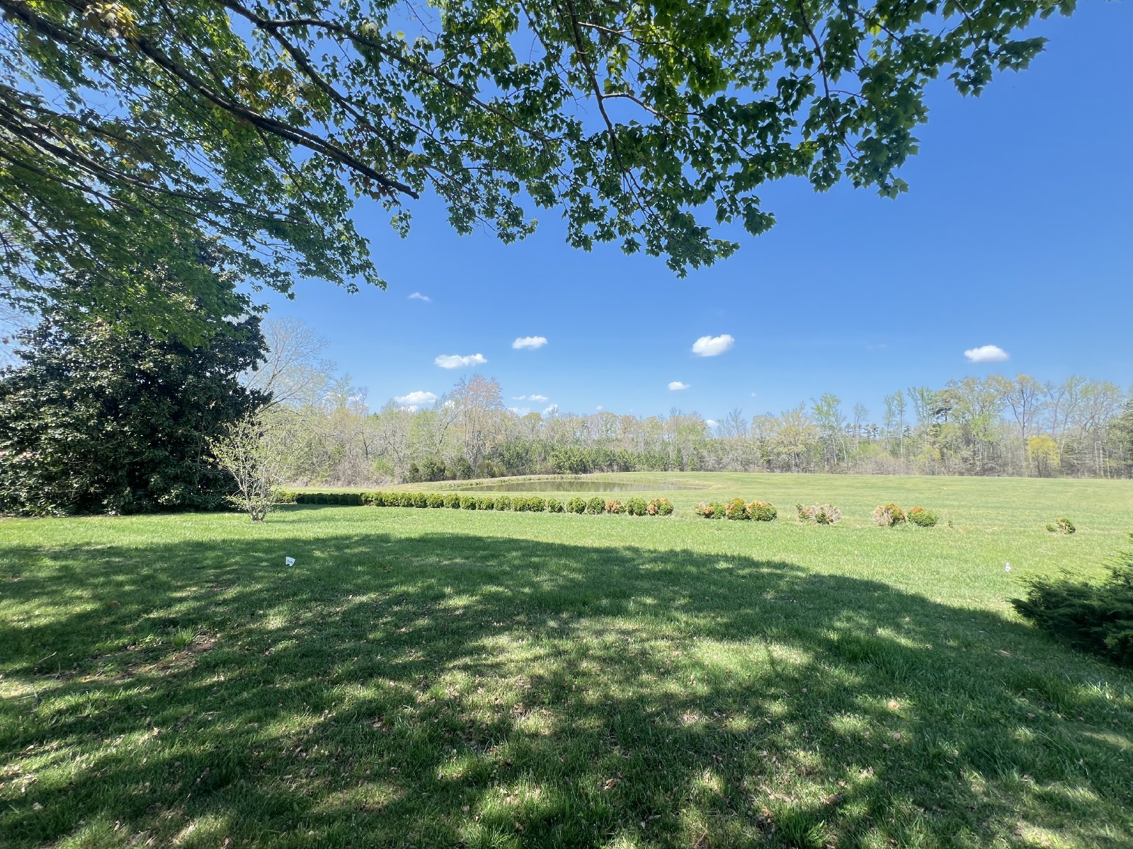 2450 Philbeck Crossroads Skipwith, VA 23968 property image