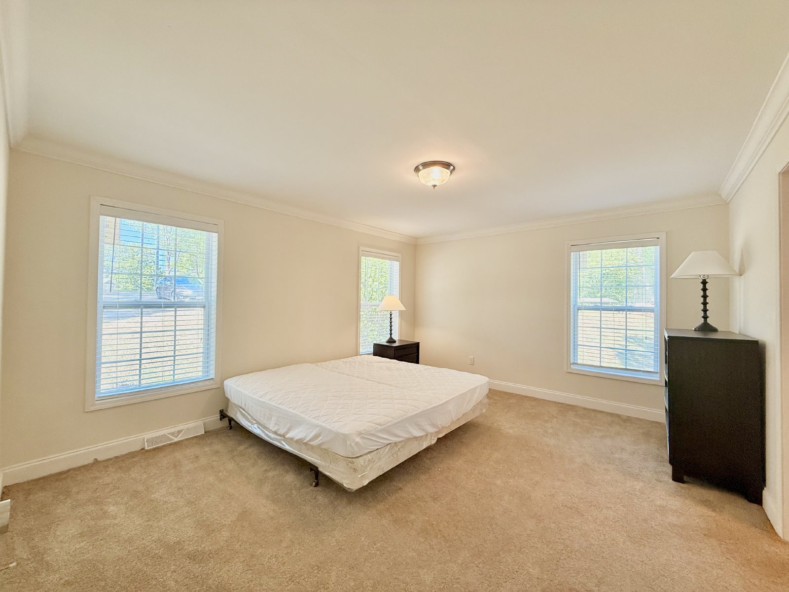 201 Lost Forest Road property image