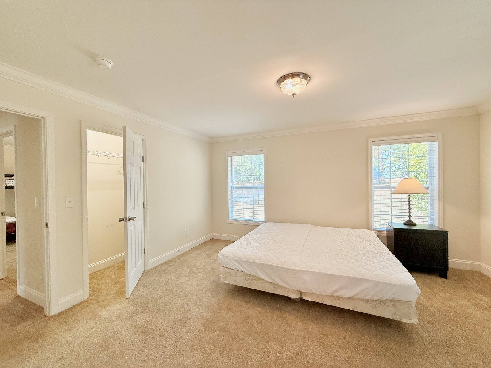 201 Lost Forest Road property image