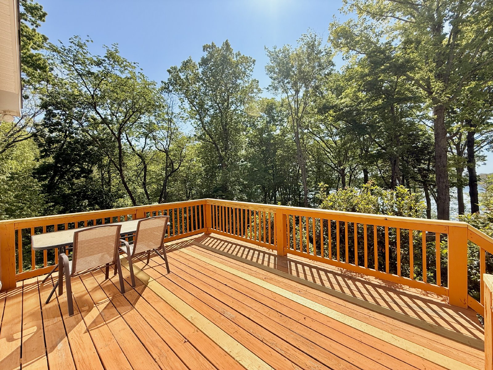 201 Lost Forest Road property image