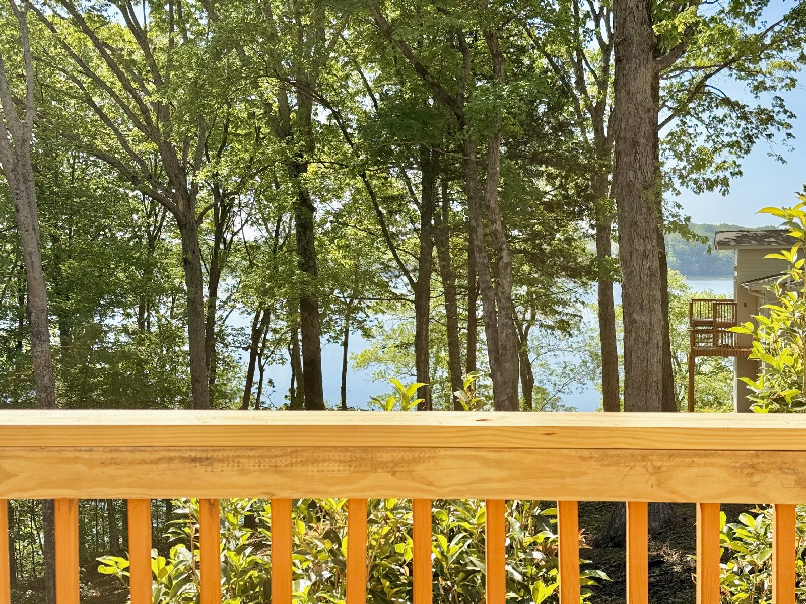 201 Lost Forest Road property image