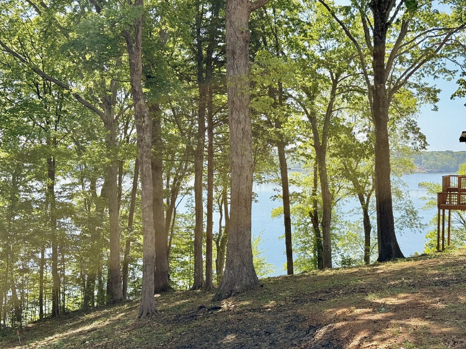 201 Lost Forest Road property image