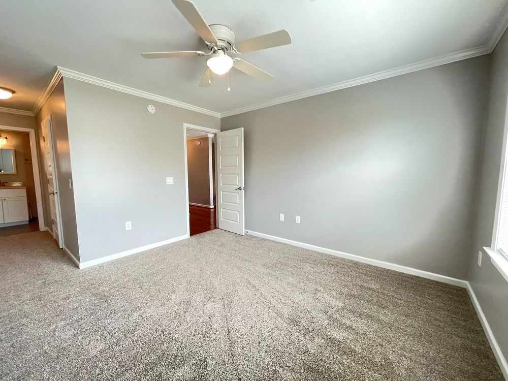 Maple Lane Duplex with 2 Primary Suites! property image