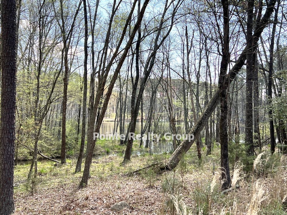 Fully Furnished & All Inclusive Beauty on Lake Gaston property image